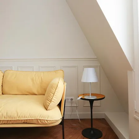 Luxurious Parisian Apartman